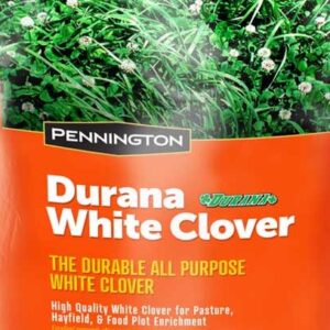 Pennington Durana White Clover Seed