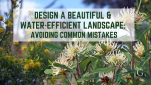 Design a Beautiful and Water-Efficient Landscape: Avoiding Common Mistakes