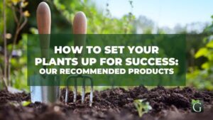 How To Set Your Plants Up For Success Our Recommended Products