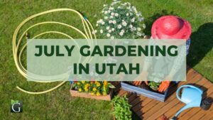 July Gardening in Utah