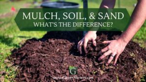 Mulch, Soil, & Sand: What’s The Difference?