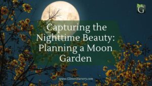 Capturing the Nighttime Beauty: Planning a Moon Garden