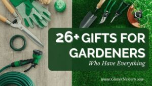 26+ Gifts for Gardeners Who Have Everything