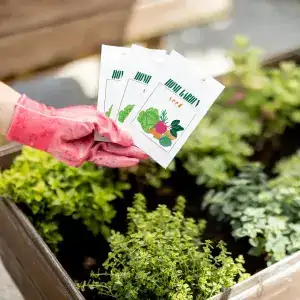 Start Your Seeds for Spring: A Utah Guide