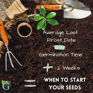 When to Start Seeds in Utah 