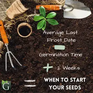 When to Start Seeds in Utah 