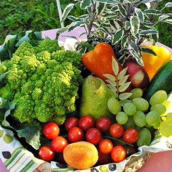 Fruit and Vegetable Harvest Image by Werner Weisser from Pixabay