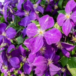 test 2