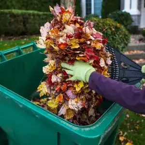 cleaning up fall leaves in a trash bin