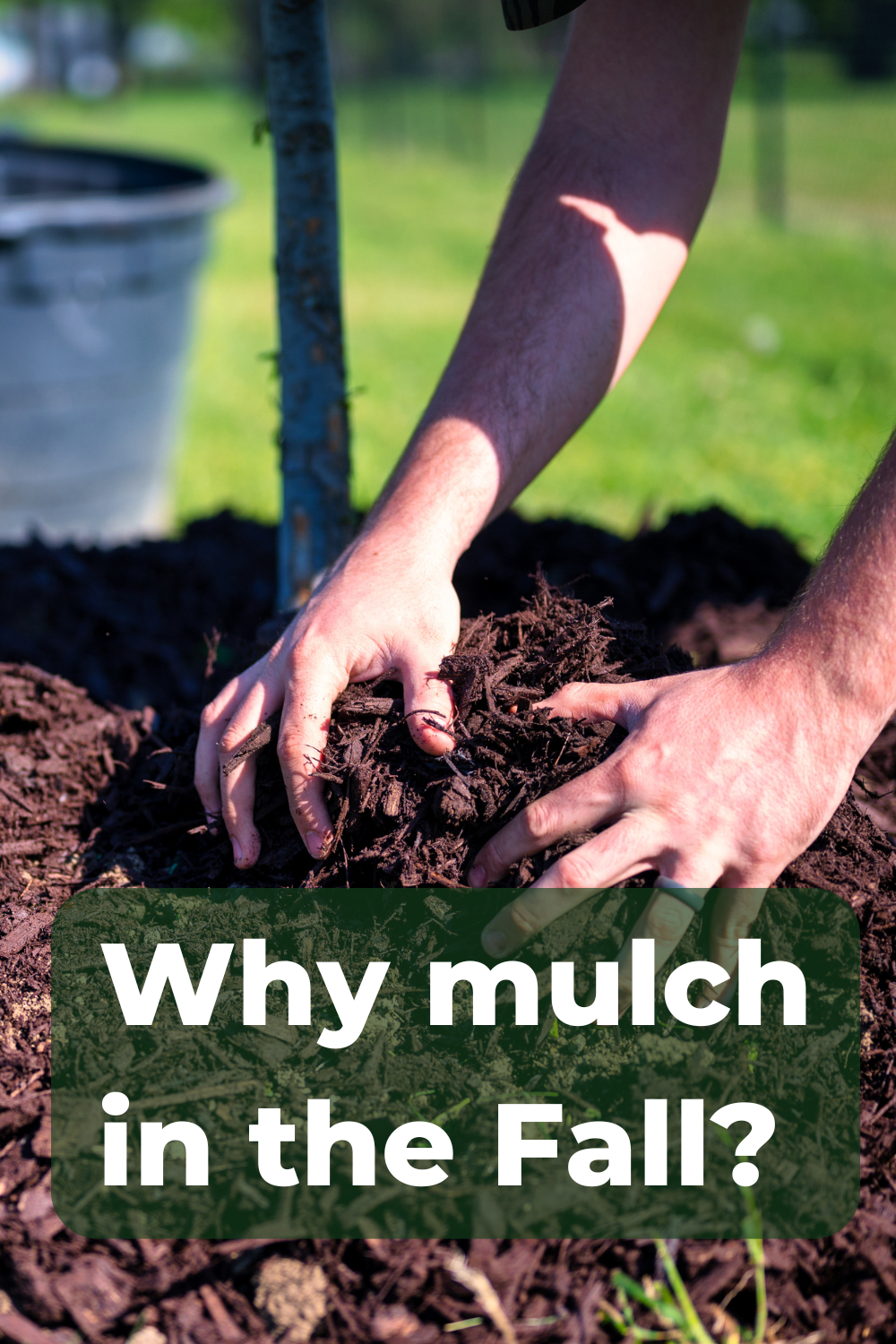 Why Mulch in the Fall?
