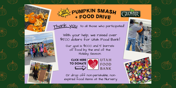 pumpkin smash food drive