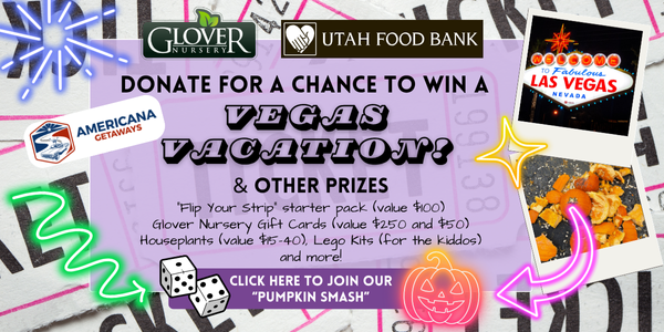 Glover Nursery Annual Pumpkin Smash and Food Drive Family Event win a free trip from Americana Experiences