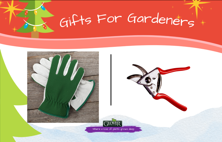Gifts for Gardeners Glover Nursery
