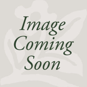 Witch Hazel, Arnold Promise