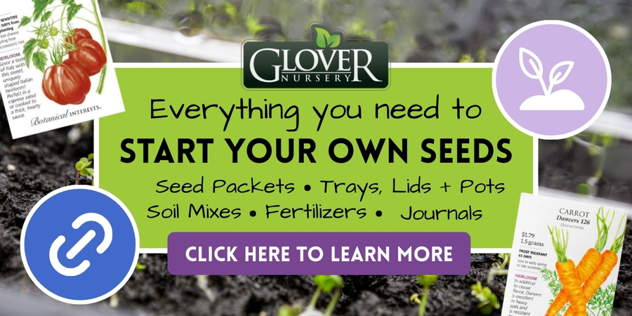 Everything you need to Start your own seeds