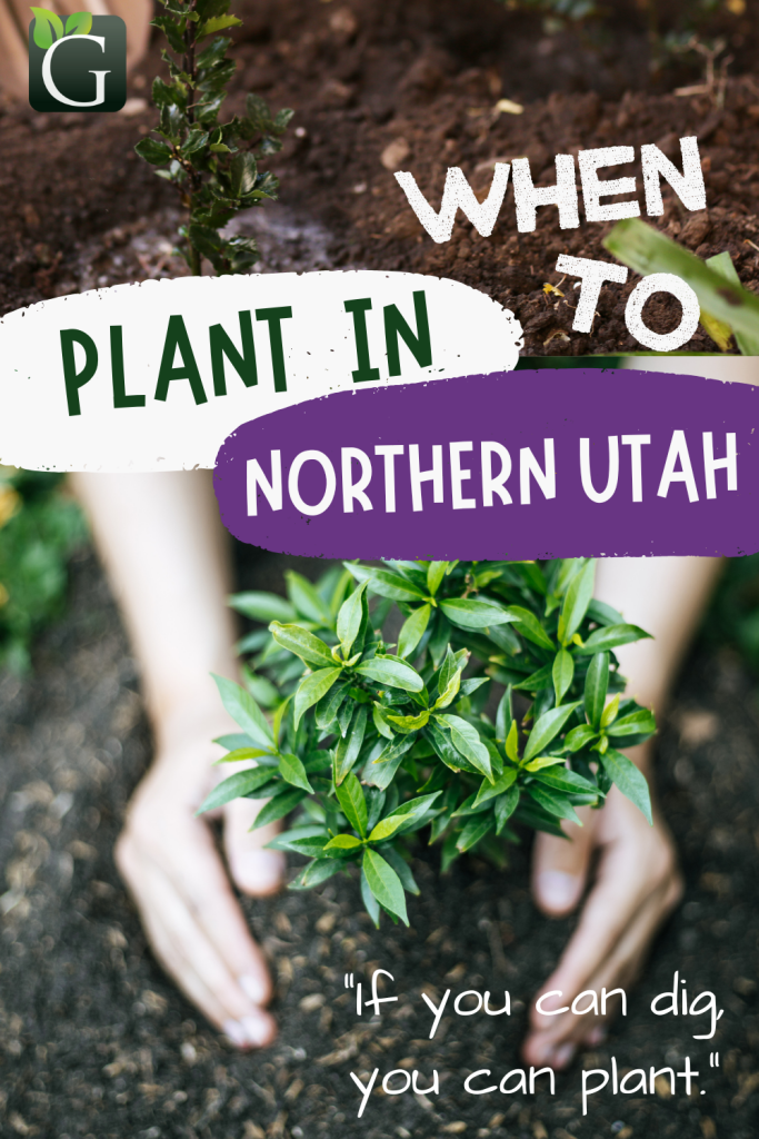 Utah Plant and Tree Planting and Watering Tips