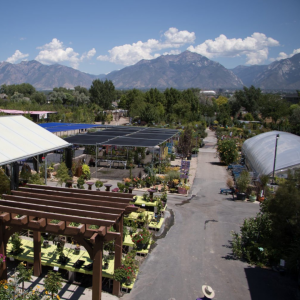 Visiting Glover Nursery for Utah Spring Gardening
