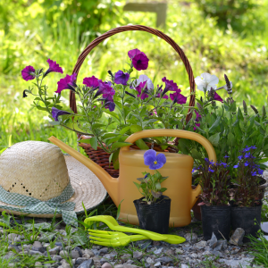 early spring gardening tips