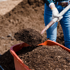 summer mulching