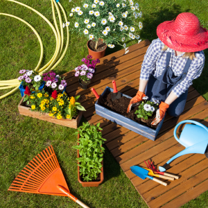 summer gardening