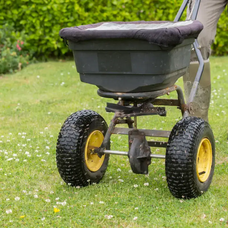 Fertilize Before the 4th