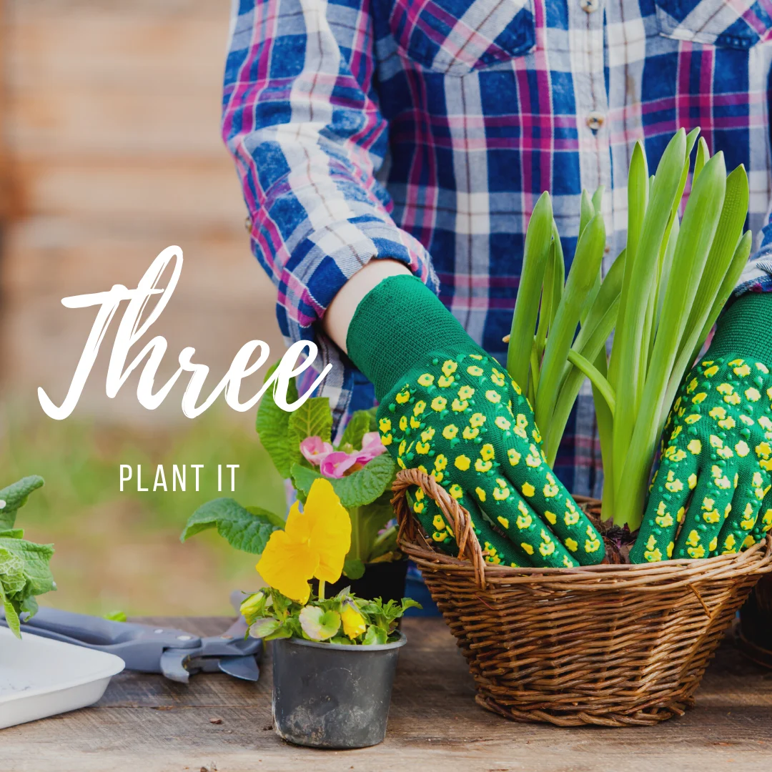 Planting