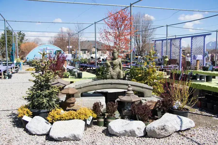 Zen Garden Display
