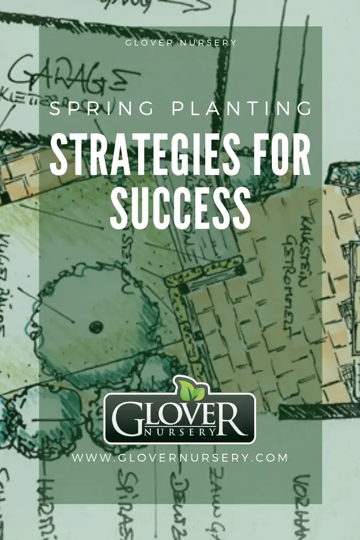Strategies For Success