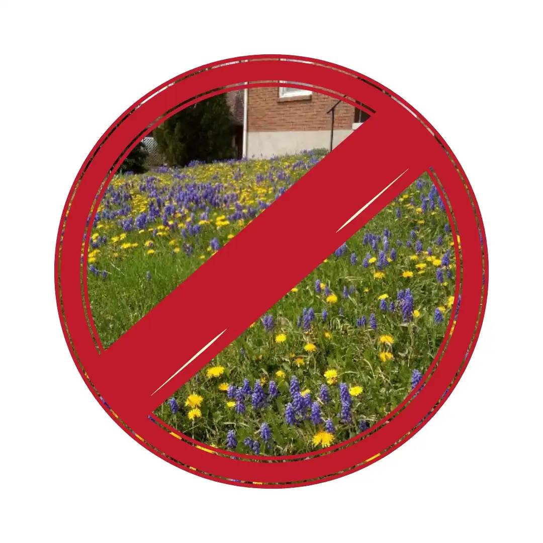 Battle Those Weeds