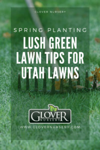 Glover Nursery