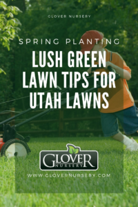 Glover Nursery