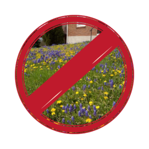 Battle Those Weeds