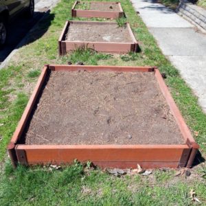 History of raise vegetable garden