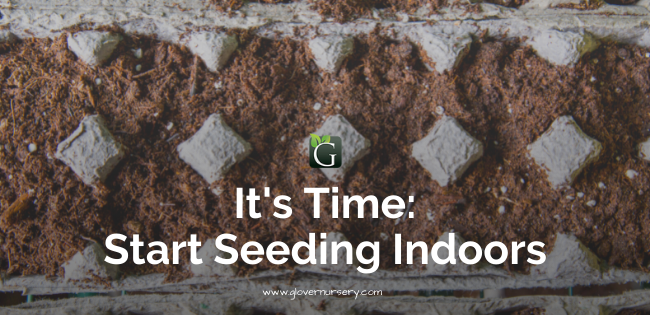 Start Seeding indoors